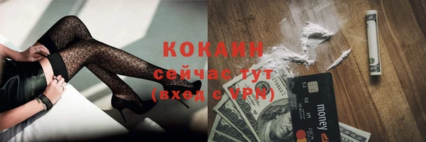 бошки Пестово