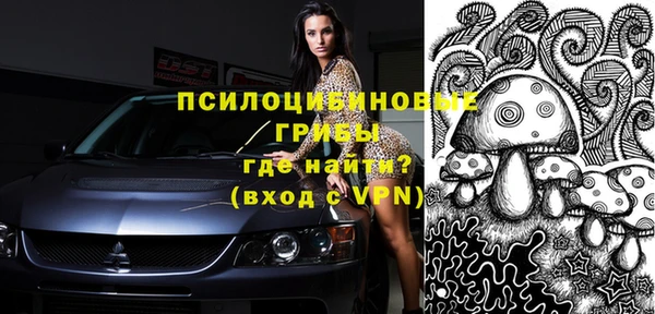 бошки Пестово