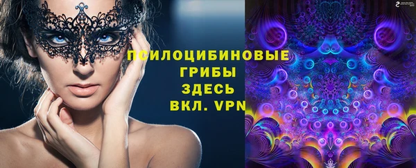 бошки Пестово